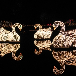 Christmas (12/25/05)