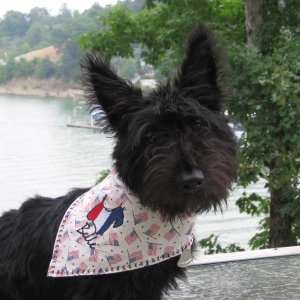 Independence Day (7/4/06)