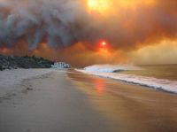 midsize_photo471d2013ee023444131144