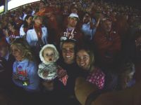 P001-306-256-366-3c040