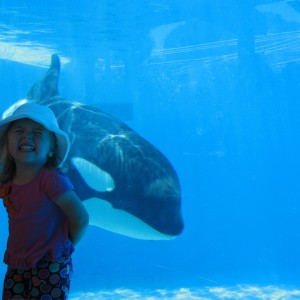 San Diego Memorial Day (5/25/12)