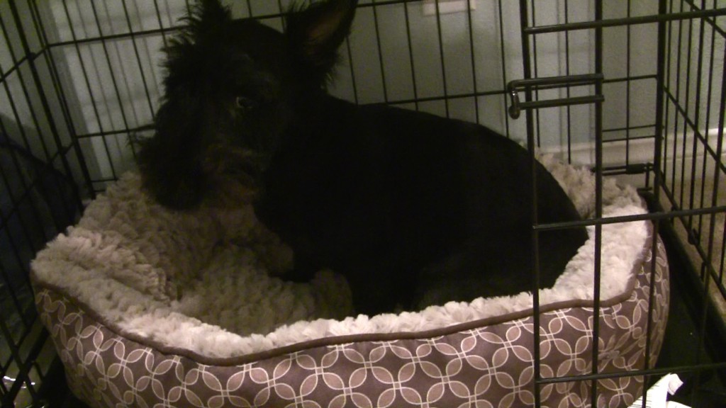 00346_MTS_snapshot_00_29_5B2013_01_11_17_44_215D