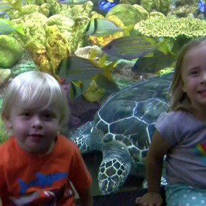 San Diego (7/11/2013)