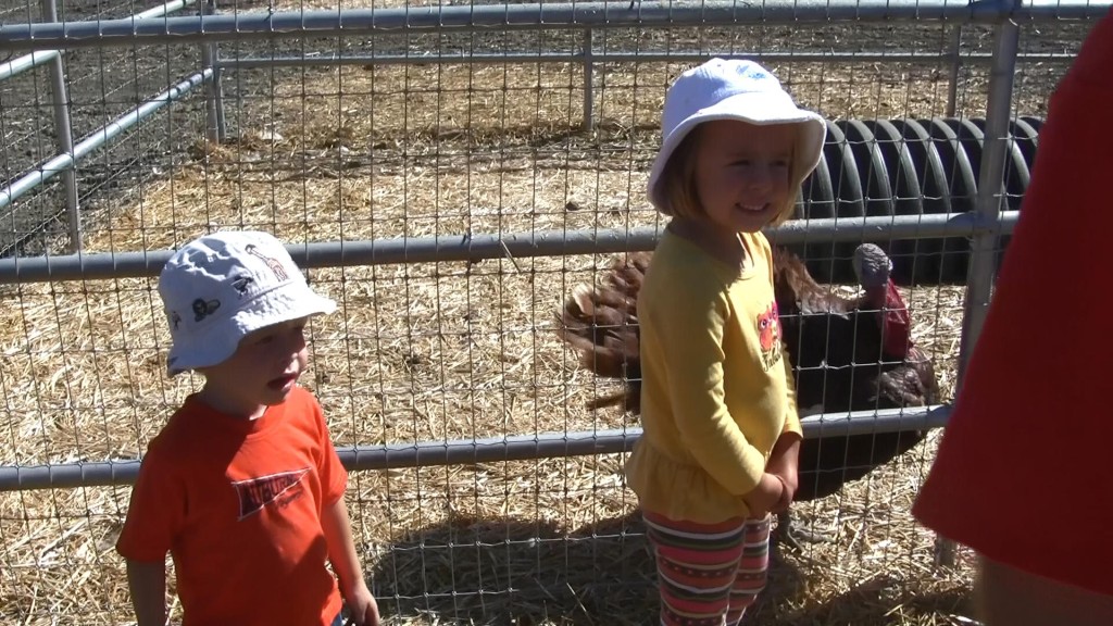 00470_MTS_snapshot_00_03_5B2013_10_14_21_27_195D