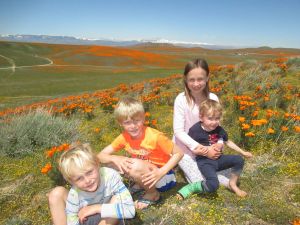 200411131718_IMG_3230